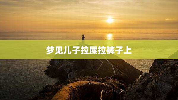 梦见儿子拉屎拉裤子上
