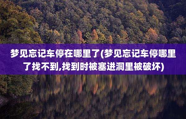 梦见忘记车停在哪里了(梦见忘记车停哪里了找不到,找到时被塞进洞里被破坏)