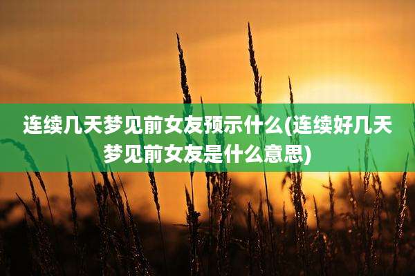 连续几天梦见前女友预示什么(连续好几天梦见前女友是什么意思)