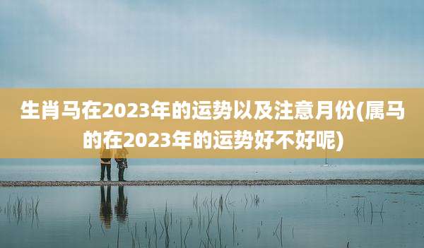 生肖马在2023年的运势以及注意月份(属马的在2023年的运势好不好呢)