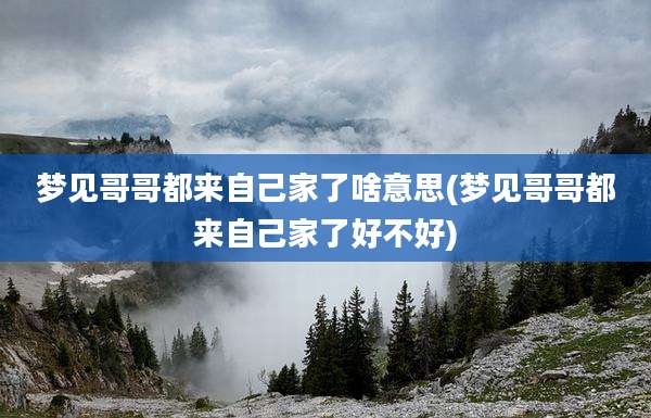 梦见哥哥都来自己家了啥意思(梦见哥哥都来自己家了好不好)
