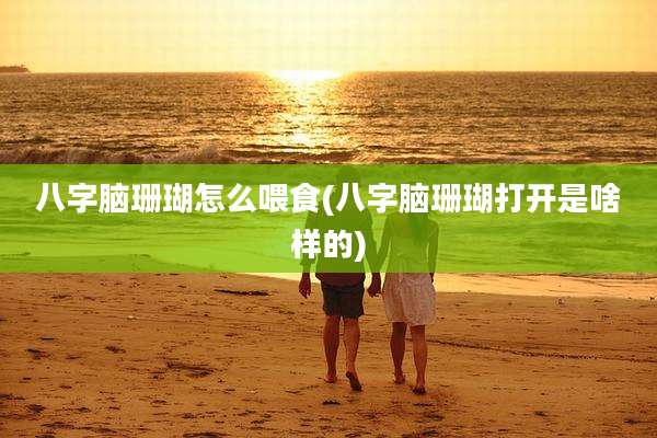 八字脑珊瑚怎么喂食(八字脑珊瑚打开是啥样的)