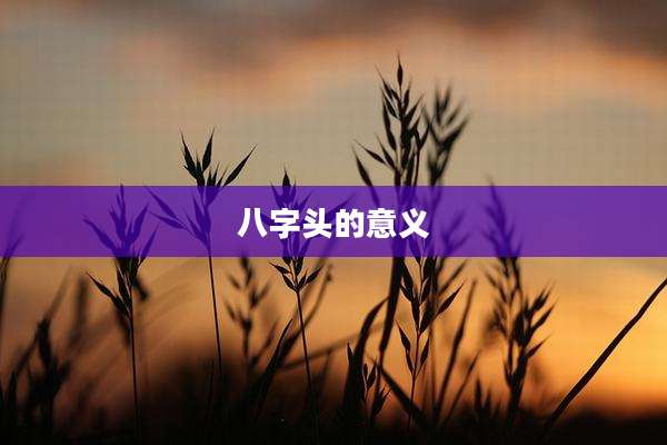 八字头的意义