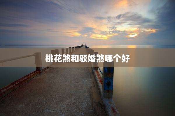 桃花煞和驳婚煞哪个好