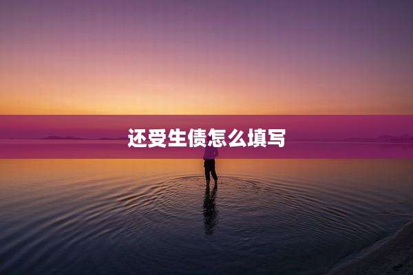 还受生债怎么填写