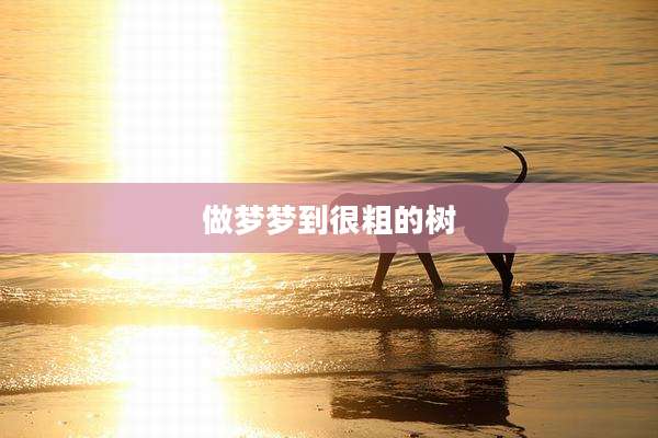 做梦梦到很粗的树