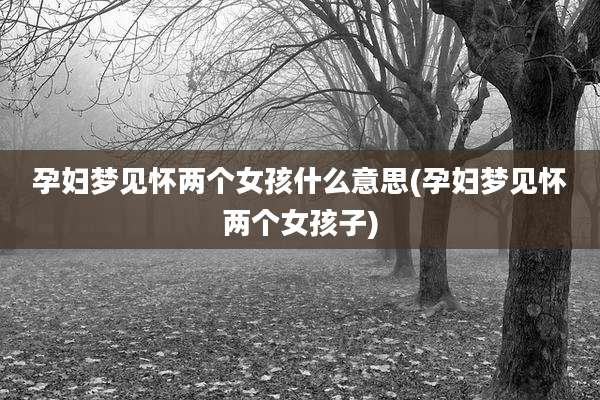 孕妇梦见怀两个女孩什么意思(孕妇梦见怀两个女孩子)