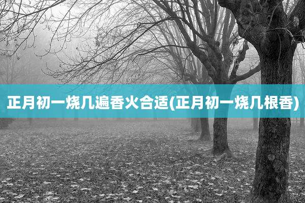 正月初一烧几遍香火合适(正月初一烧几根香)