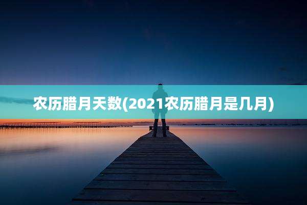 农历腊月天数(2021农历腊月是几月)