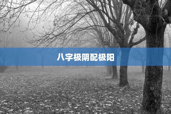 八字极阴配极阳