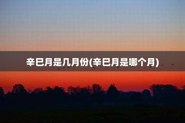 辛巳月是几月份(辛巳月是哪个月)