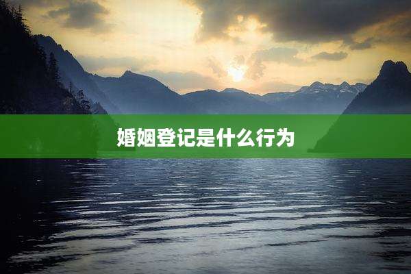 婚姻登记是什么行为