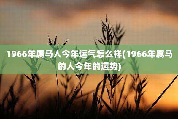 1966年属马人今年运气怎么样(1966年属马的人今年的运势)