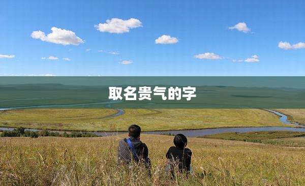 取名贵气的字