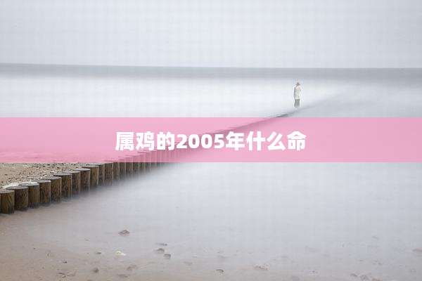 属鸡的2005年什么命