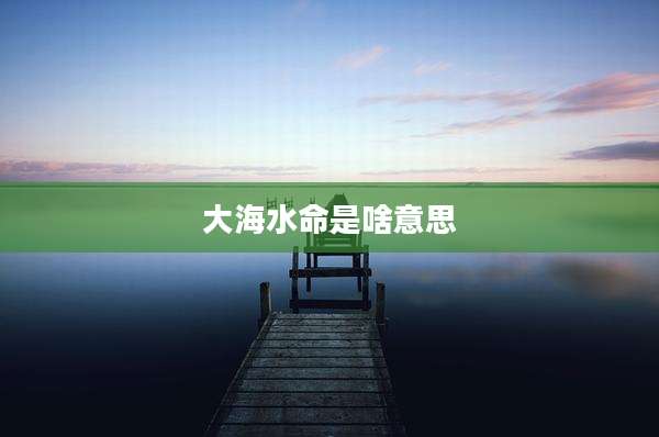 大海水命是啥意思