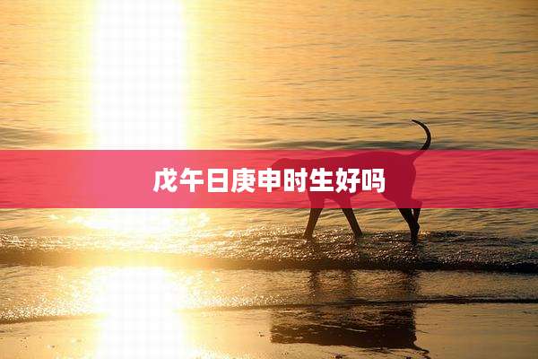 戊午日庚申时生好吗
