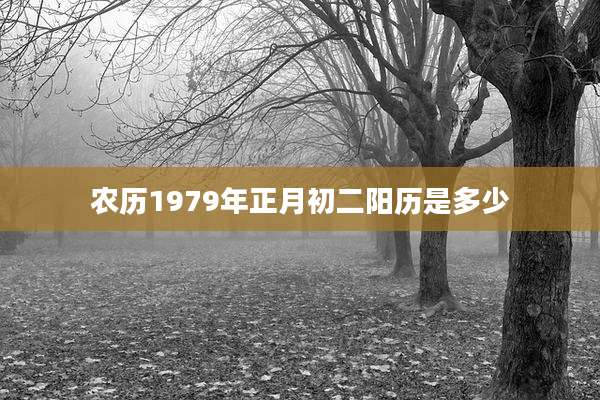 农历1979年正月初二阳历是多少