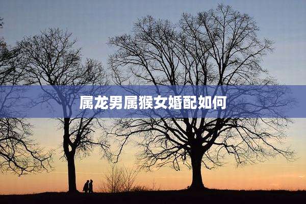 属龙男属猴女婚配如何