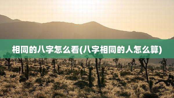相同的八字怎么看(八字相同的人怎么算)