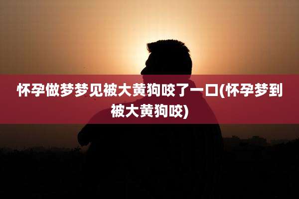 怀孕做梦梦见被大黄狗咬了一口(怀孕梦到被大黄狗咬)