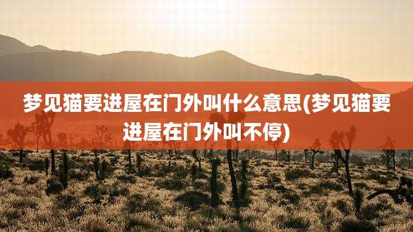 梦见猫要进屋在门外叫什么意思(梦见猫要进屋在门外叫不停)