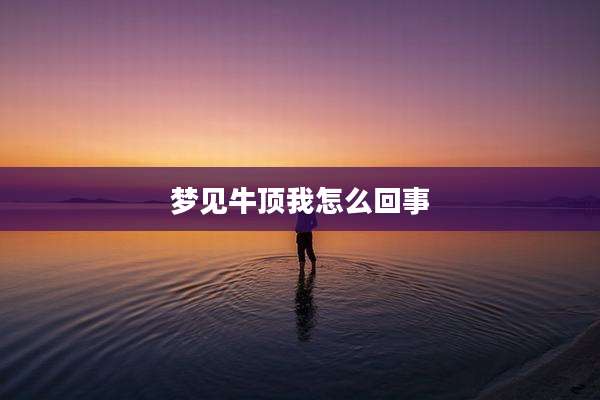 梦见牛顶我怎么回事