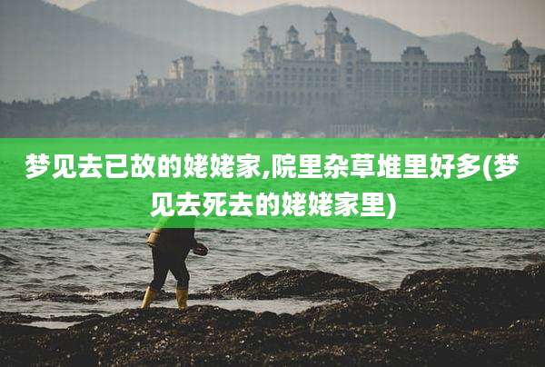 梦见去已故的姥姥家,院里杂草堆里好多(梦见去死去的姥姥家里)