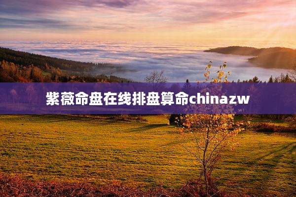 紫薇命盘在线排盘算命chinazw