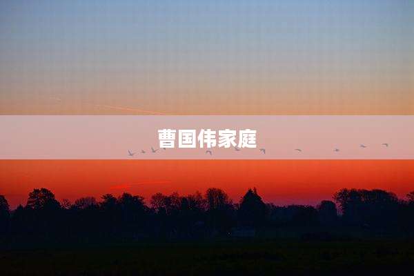 曹国伟家庭