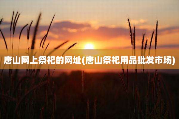 唐山网上祭祀的网址(唐山祭祀用品批发市场)
