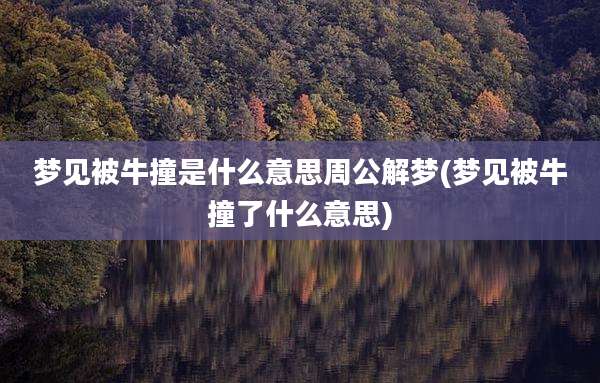 梦见被牛撞是什么意思周公解梦(梦见被牛撞了什么意思)