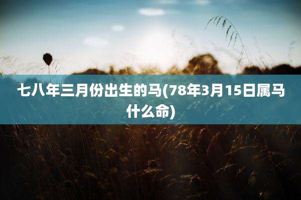 七八年三月份出生的马(78年3月15日属马什么命)