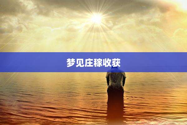 梦见庄稼收获