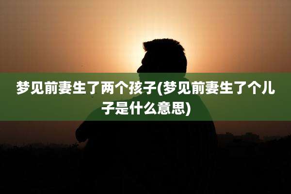 梦见前妻生了两个孩子(梦见前妻生了个儿子是什么意思)