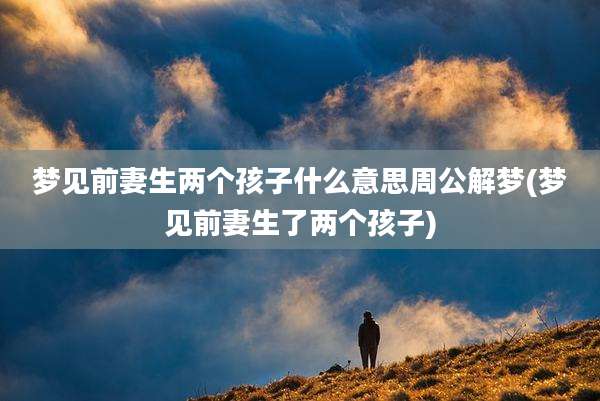 梦见前妻生两个孩子什么意思周公解梦(梦见前妻生了两个孩子)
