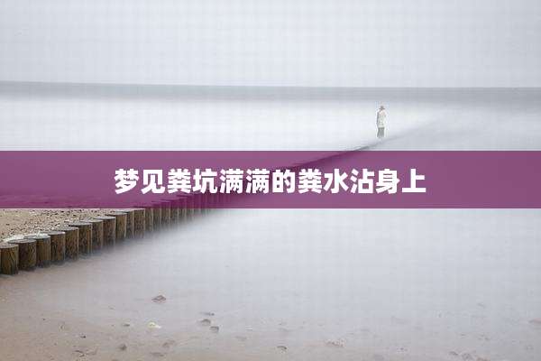 梦见粪坑满满的粪水沾身上