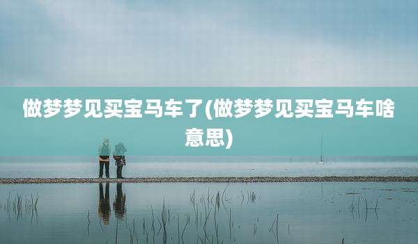 做梦梦见买宝马车了(做梦梦见买宝马车啥意思)