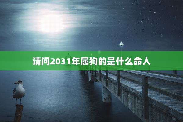 请问2031年属狗的是什么命人