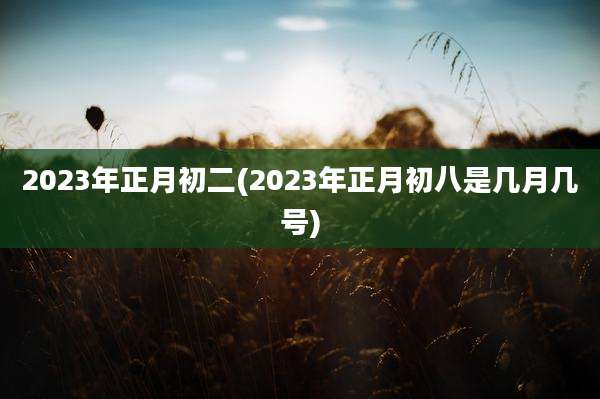 2023年正月初二(2023年正月初八是几月几号)