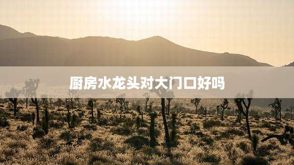 厨房水龙头对大门口好吗