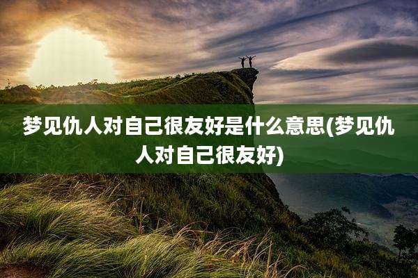 梦见仇人对自己很友好是什么意思(梦见仇人对自己很友好)