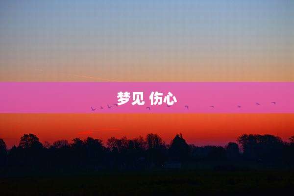 梦见 伤心