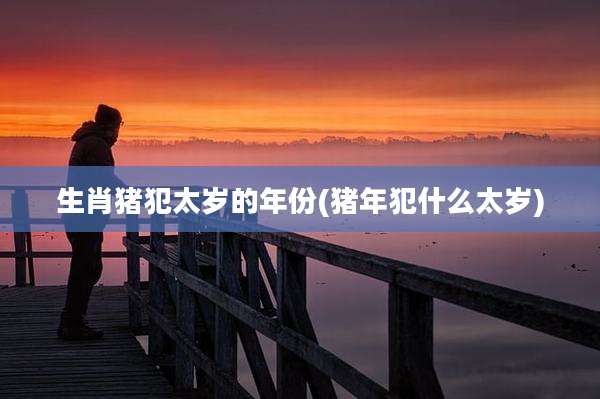 生肖猪犯太岁的年份(猪年犯什么太岁)