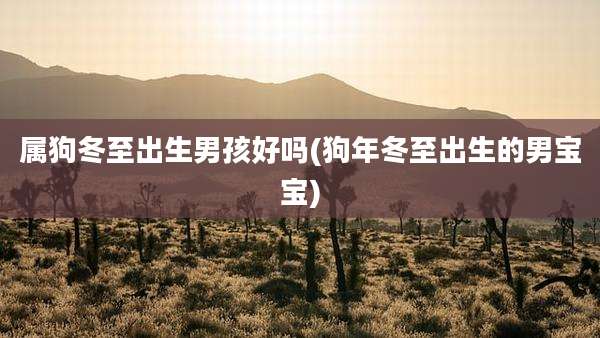 属狗冬至出生男孩好吗(狗年冬至出生的男宝宝)