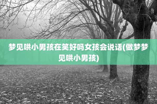 梦见哄小男孩在笑好吗女孩会说话(做梦梦见哄小男孩)