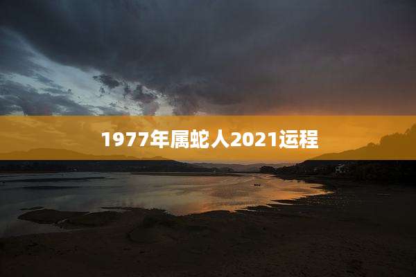 1977年属蛇人2021运程