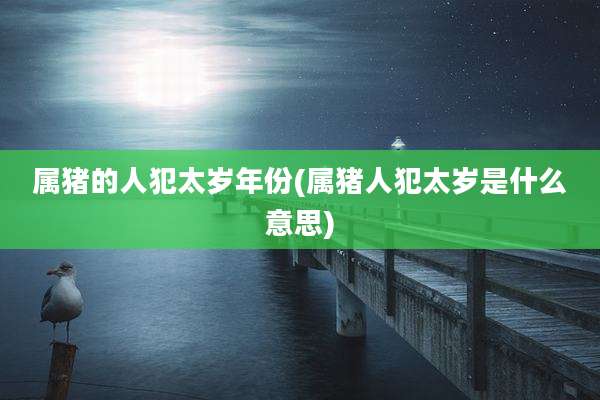 属猪的人犯太岁年份(属猪人犯太岁是什么意思)