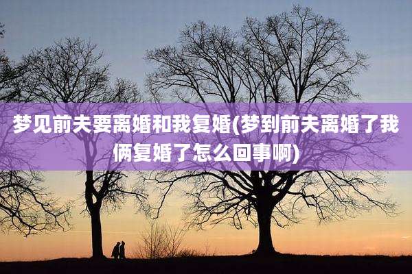 梦见前夫要离婚和我复婚(梦到前夫离婚了我俩复婚了怎么回事啊)