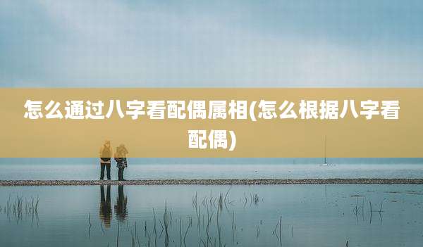 怎么通过八字看配偶属相(怎么根据八字看配偶)